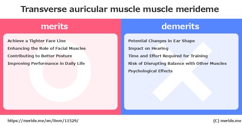 Transverse auricular muscle  merits and demerits?  [muscle]  merideme