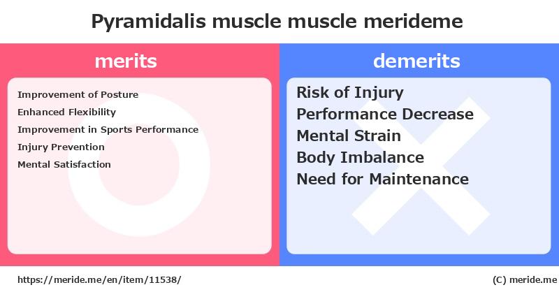 Pyramidalis muscle  merits and demerits?  [muscle]  merideme