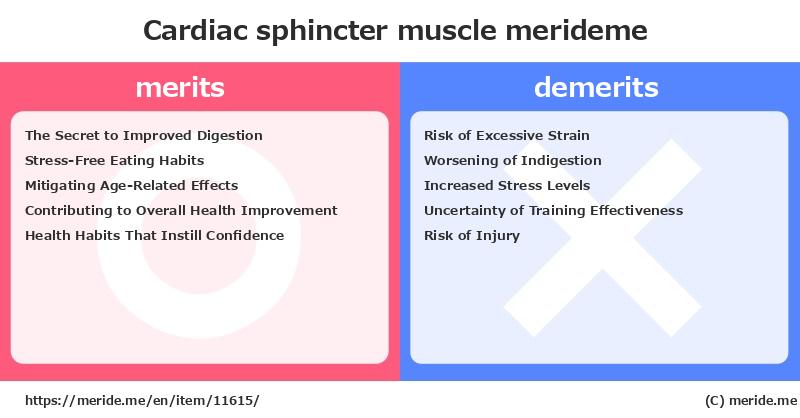 Cardiac sphincter  merits and demerits?  [muscle]  merideme