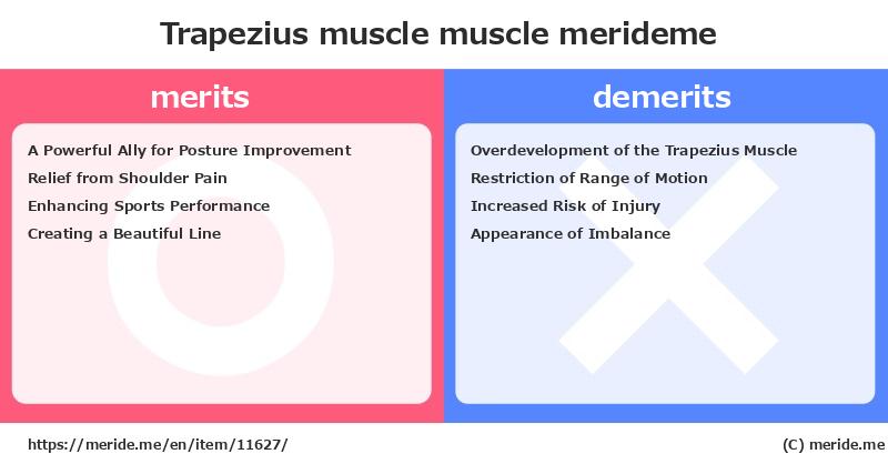 Trapezius muscle  merits and demerits?  [muscle]  merideme
