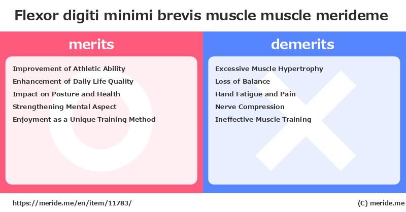 Flexor digiti minimi brevis muscle  merits and demerits?  [muscle]  merideme