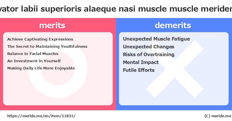 Levator labii superioris alaeque nasi muscle  merits and demerits?  [muscle]  merideme