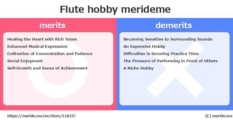 Flute  merits and demerits?  [hobby]  merideme