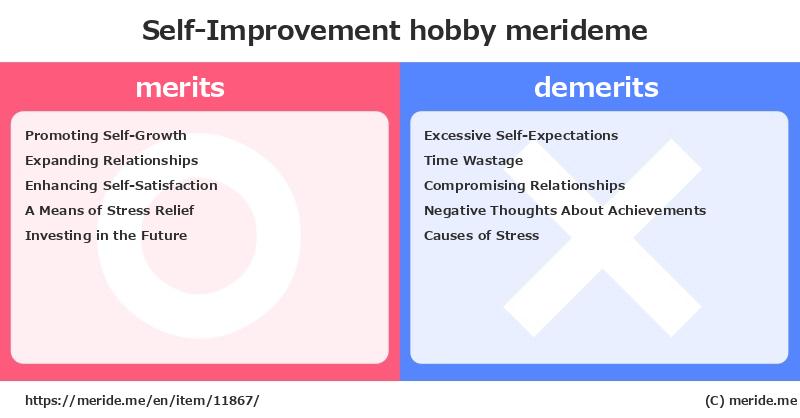 Self-Improvement  merits and demerits?  [hobby]  merideme