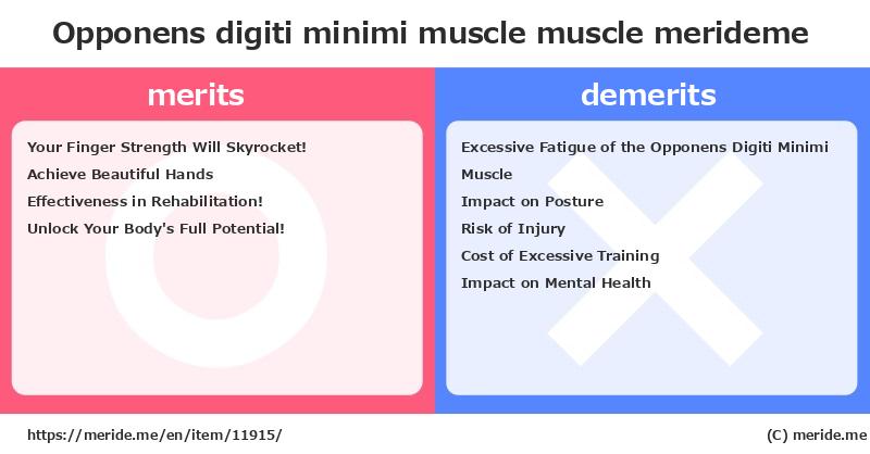 Opponens digiti minimi muscle  merits and demerits?  [muscle]  merideme
