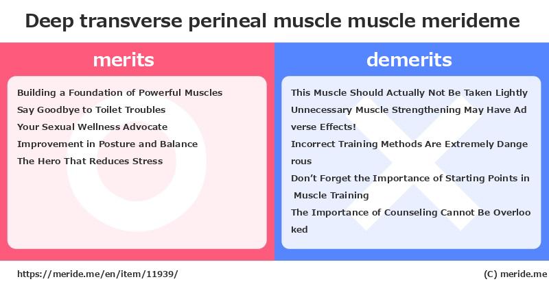 Deep transverse perineal muscle  merits and demerits?  [muscle]  merideme