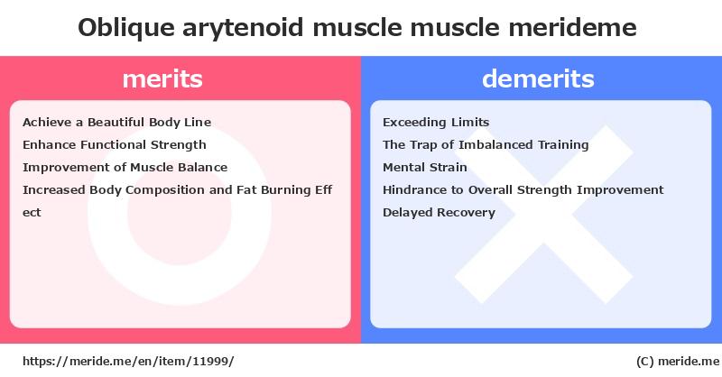 Oblique arytenoid muscle  merits and demerits?  [muscle]  merideme