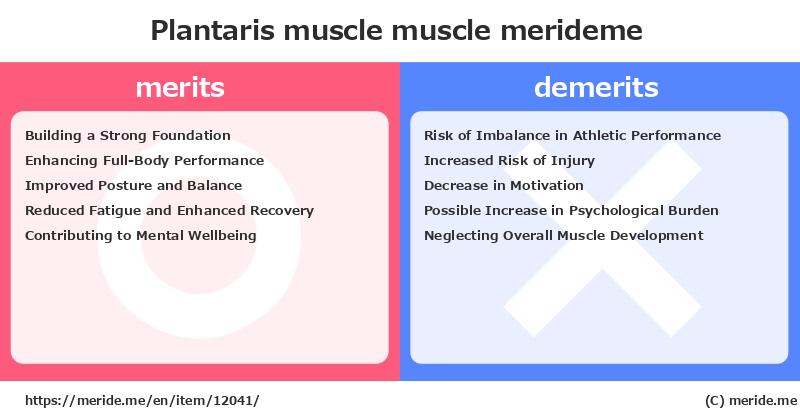 Plantaris muscle  merits and demerits?  [muscle]  merideme