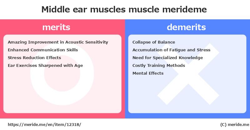 Middle ear muscles  merits and demerits?  [muscle]  merideme