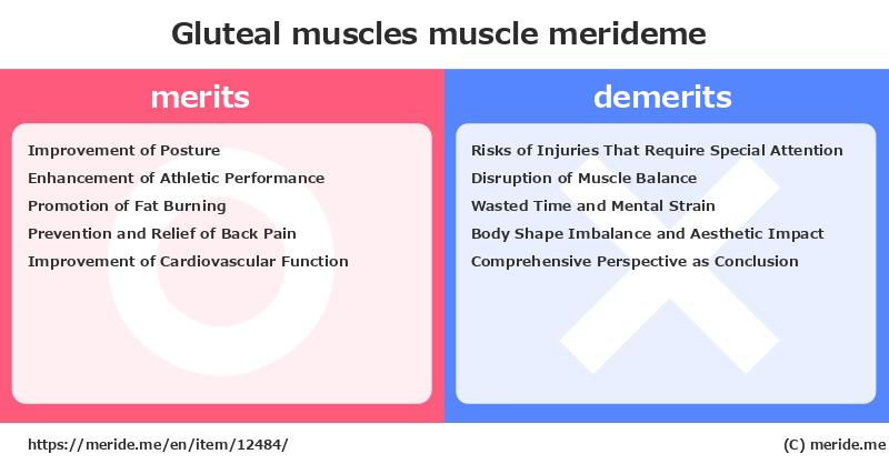 Gluteal muscles  merits and demerits?  [muscle]  merideme