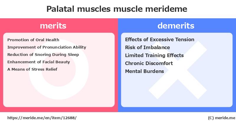 Palatal muscles  merits and demerits?  [muscle]  merideme