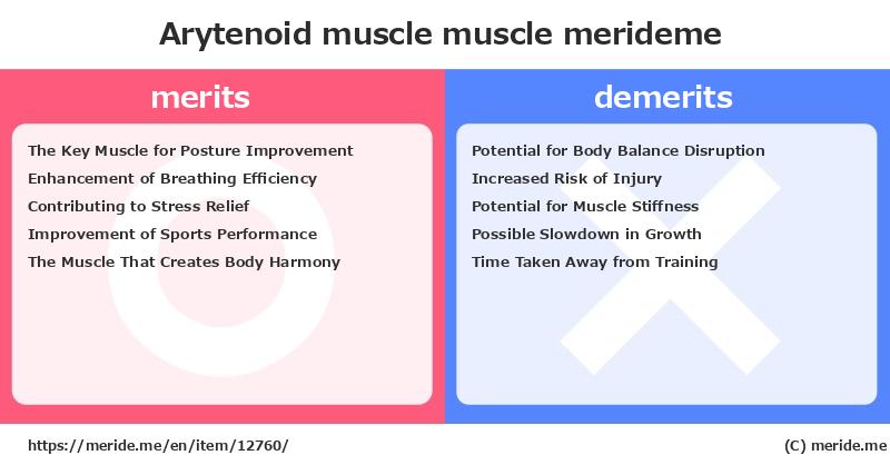 Arytenoid muscle  merits and demerits?  [muscle]  merideme