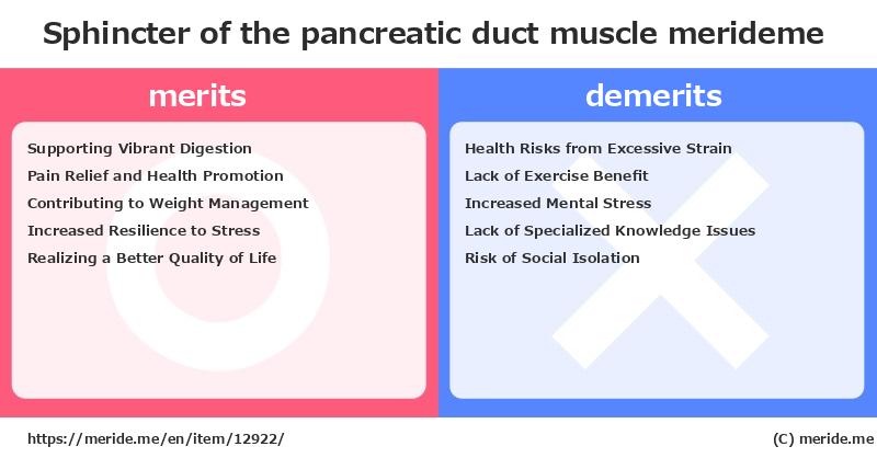 Sphincter of the pancreatic duct  merits and demerits?  [muscle]  merideme
