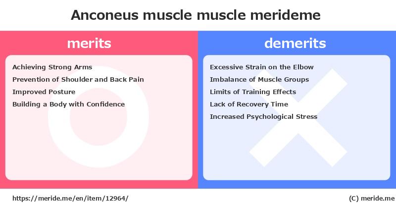 Anconeus muscle  merits and demerits?  [muscle]  merideme