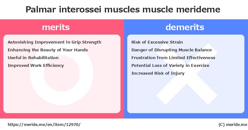 Palmar interossei muscles  merits and demerits?  [muscle]  merideme