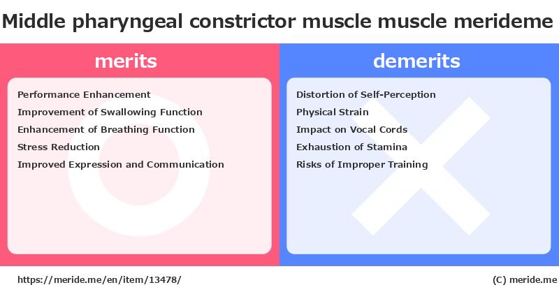 Middle pharyngeal constrictor muscle  merits and demerits?  [muscle]  merideme
