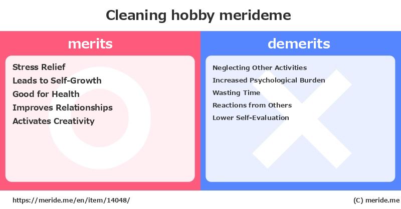 Cleaning  merits and demerits?  [hobby]  merideme
