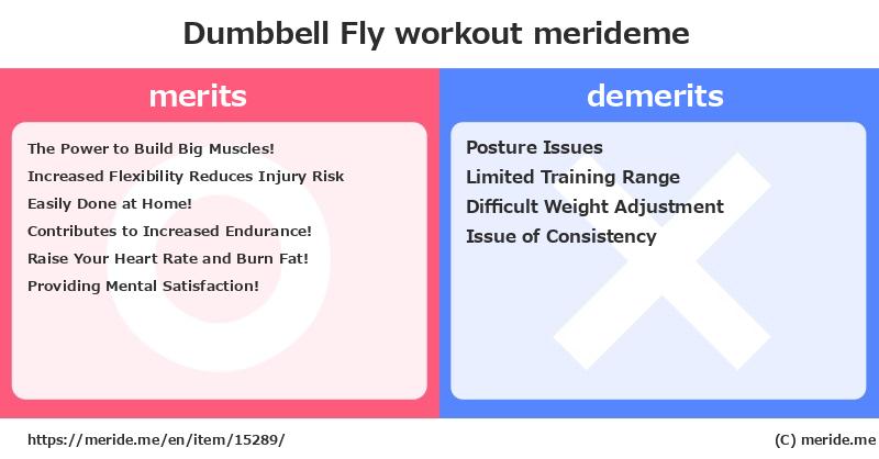 Dumbbell Fly  merits and demerits?  [workout]  merideme