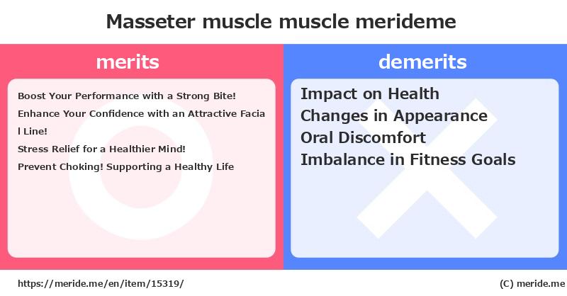 Masseter muscle  merits and demerits?  [muscle]  merideme