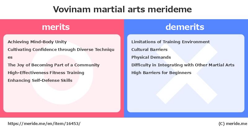 Vovinam  merits and demerits?  [martial arts]  merideme
