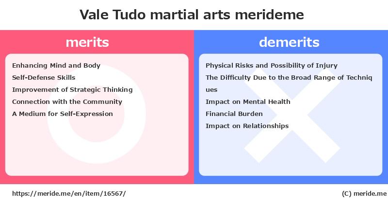 Vale Tudo  merits and demerits?  [martial arts]  merideme