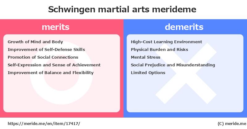 Schwingen  merits and demerits?  [martial arts]  merideme