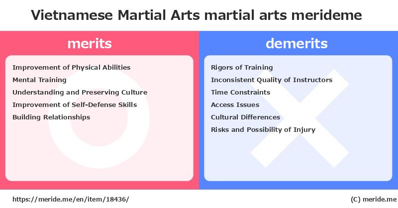 Vietnamese Martial Arts  merits and demerits?  [martial arts]  merideme