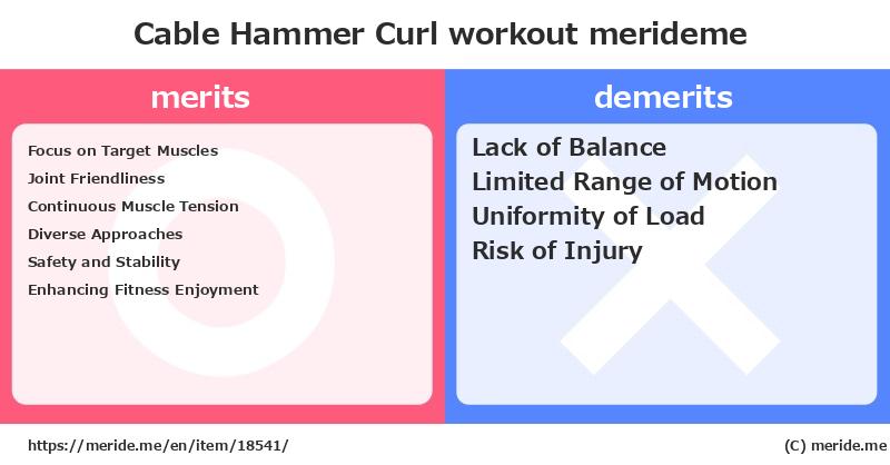 Cable Hammer Curl  merits and demerits?  [workout]  merideme