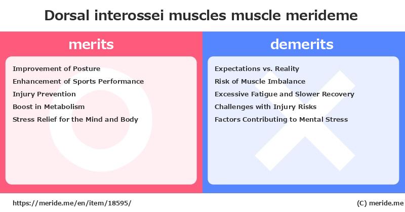 Dorsal interossei muscles  merits and demerits?  [muscle]  merideme