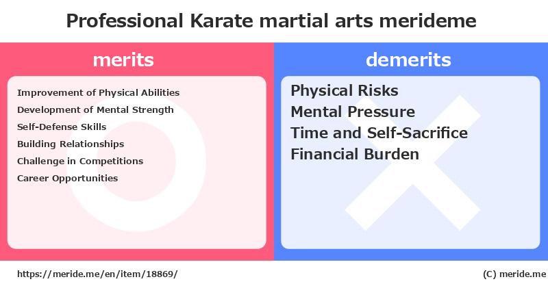 Professional Karate  merits and demerits?  [martial arts]  merideme