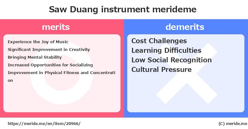 Saw Duang  merits and demerits?  [instrument]  merideme