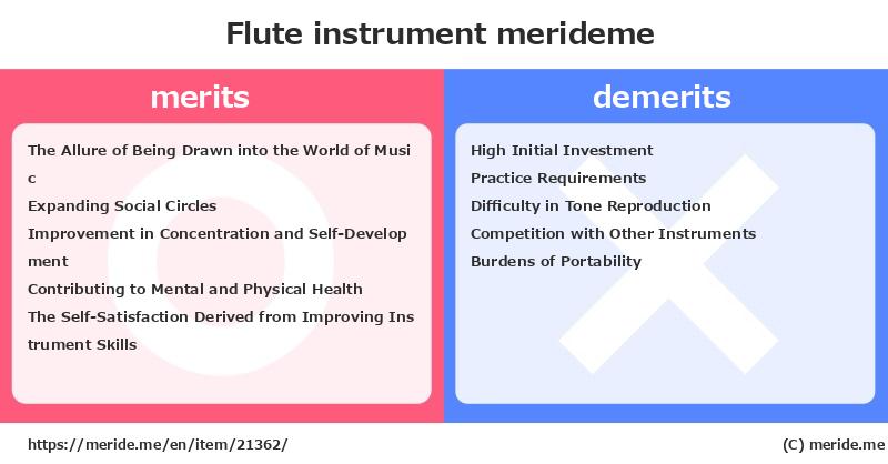 Flute  merits and demerits?  [instrument]  merideme