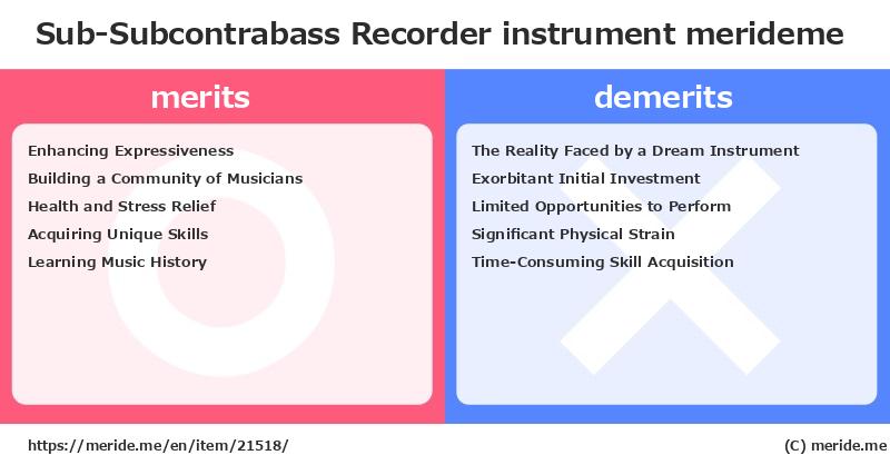 Sub-Subcontrabass Recorder  merits and demerits?  [instrument]  merideme