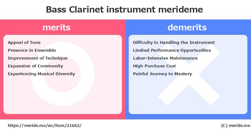 Bass Clarinet  merits and demerits?  [instrument]  merideme