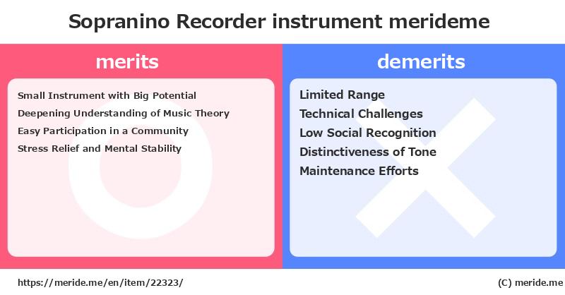 Sopranino Recorder  merits and demerits?  [instrument]  merideme