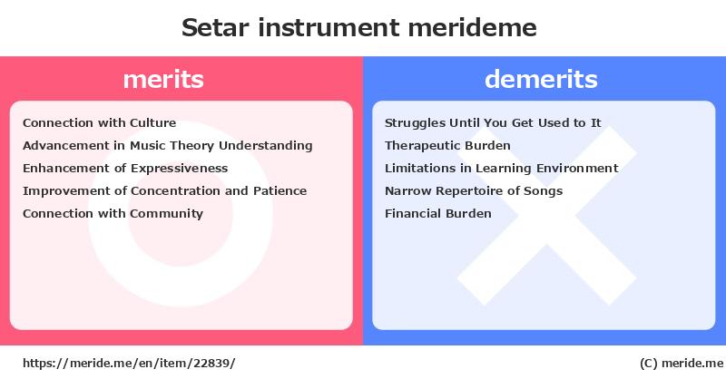 Setar  merits and demerits?  [instrument]  merideme