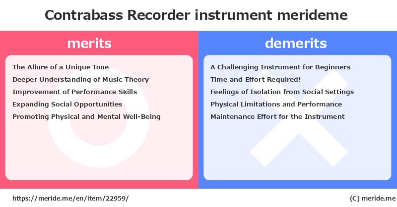 Contrabass Recorder  merits and demerits?  [instrument]  merideme