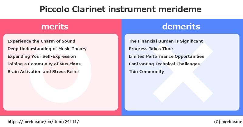 Piccolo Clarinet  merits and demerits?  [instrument]  merideme