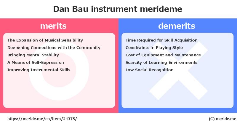 Dan Bau  merits and demerits?  [instrument]  merideme
