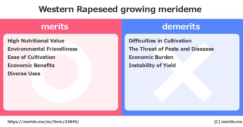 Western Rapeseed  merits and demerits?  [growing]  merideme