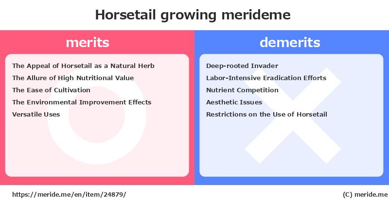 Horsetail  merits and demerits?  [growing]  merideme