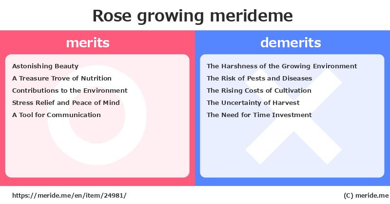 Rose  merits and demerits?  [growing]  merideme