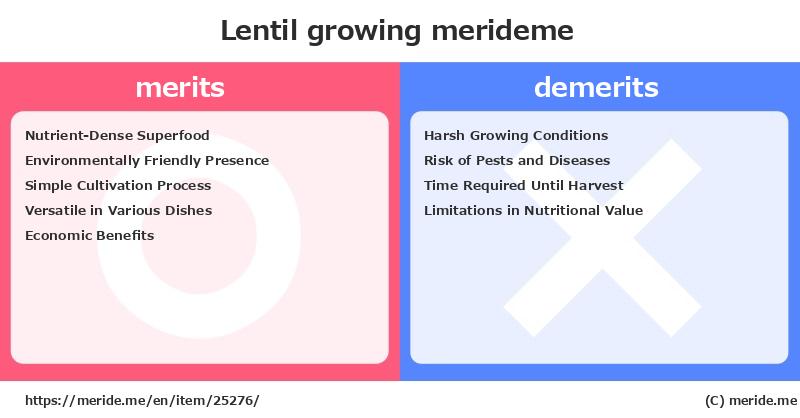 Lentil  merits and demerits?  [growing]  merideme