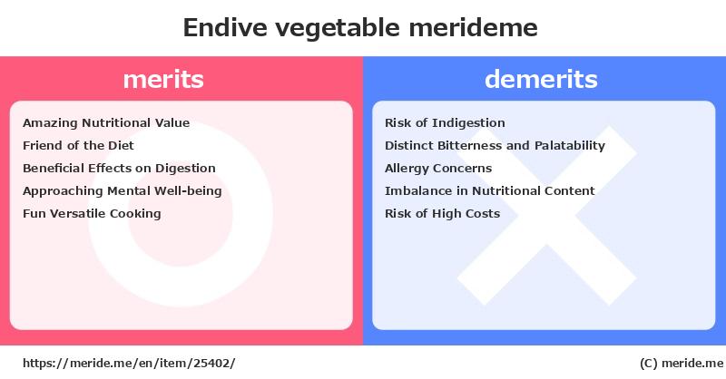 Endive  merits and demerits?  [vegetable]  merideme