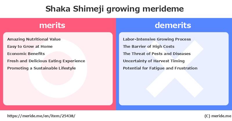 Shaka Shimeji  merits and demerits?  [growing]  merideme
