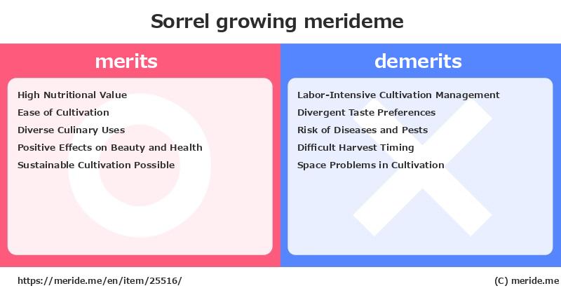 Sorrel  merits and demerits?  [growing]  merideme