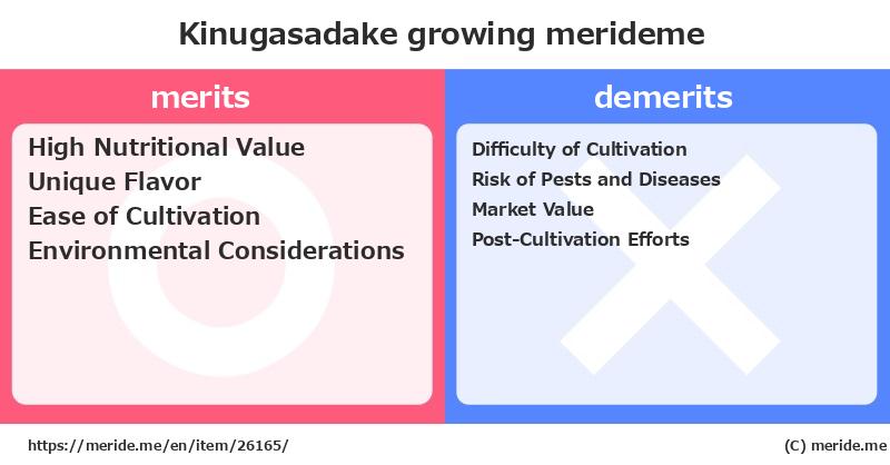 Kinugasadake  merits and demerits?  [growing]  merideme