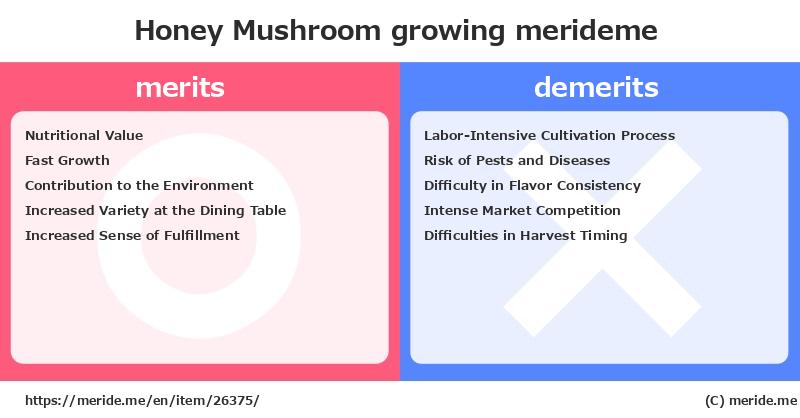 Honey Mushroom  merits and demerits?  [growing]  merideme