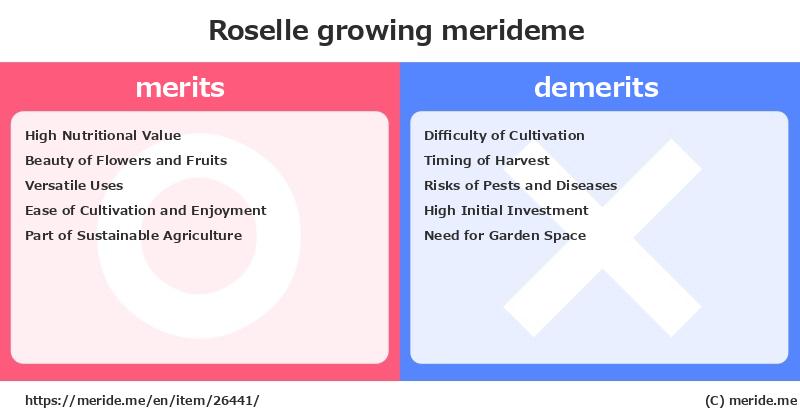 Roselle  merits and demerits?  [growing]  merideme
