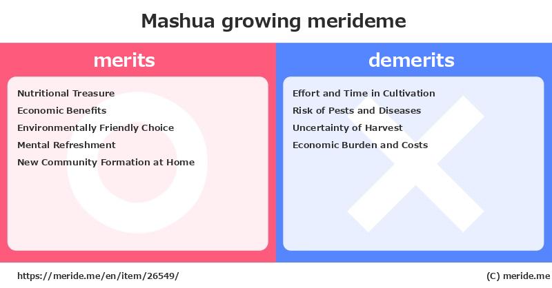 Mashua  merits and demerits?  [growing]  merideme